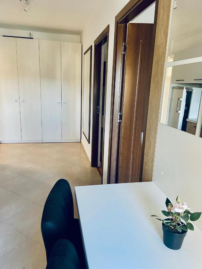 Iulius Loft Apartment Iasi Luaran gambar